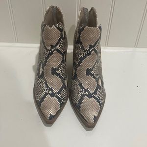 Steve Madden Snake Booties
